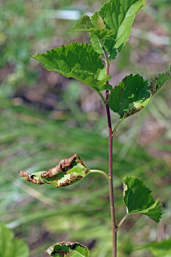 IMG_8071.jpg