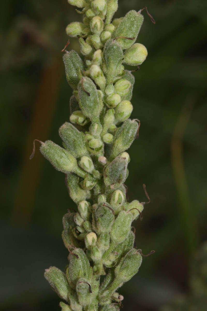 IMG_5695.JPG (814.78 KiB) 1756 mal betrachtet IMG_5695.JPG