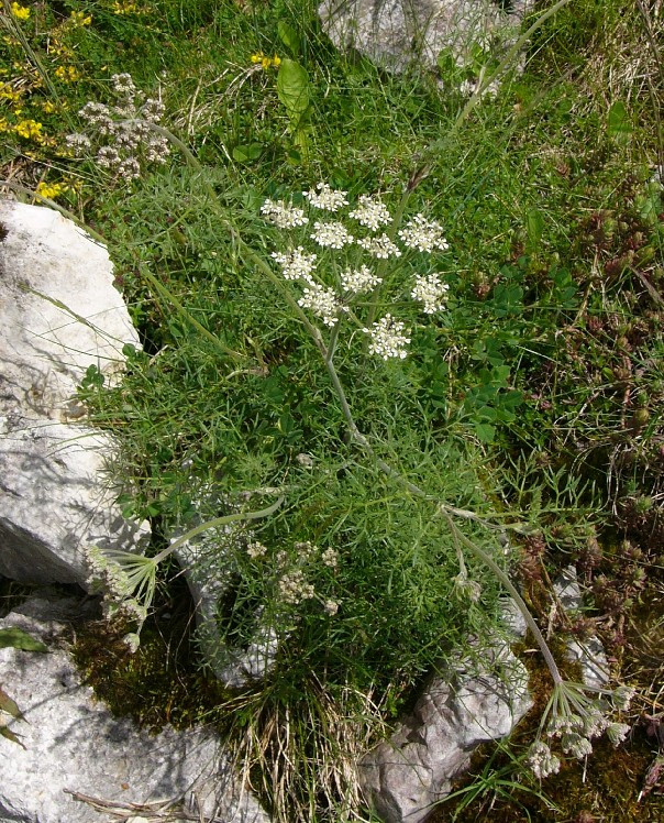 2_P1890818.jpg