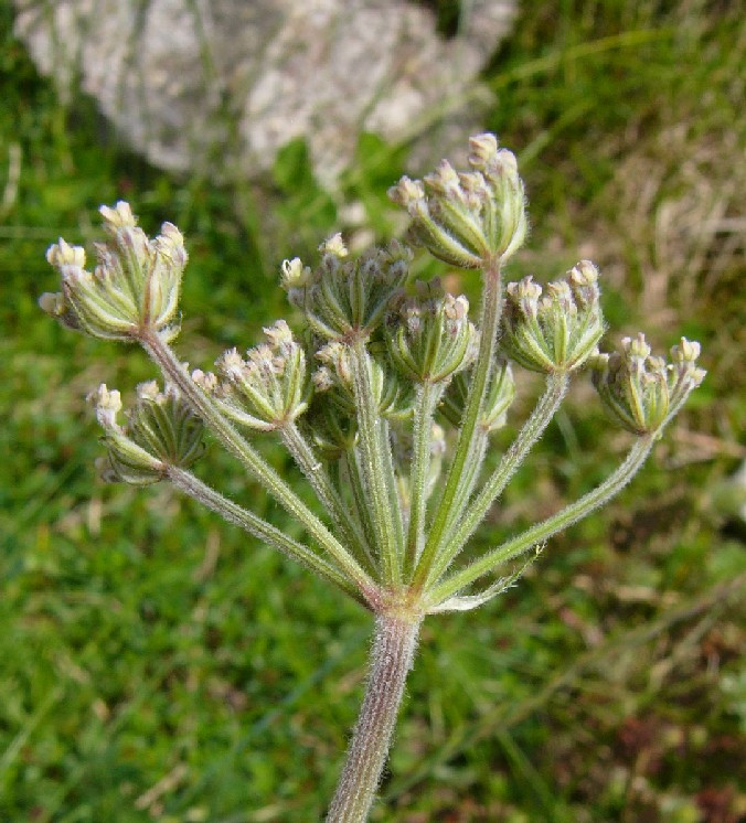 3_P1890821.jpg