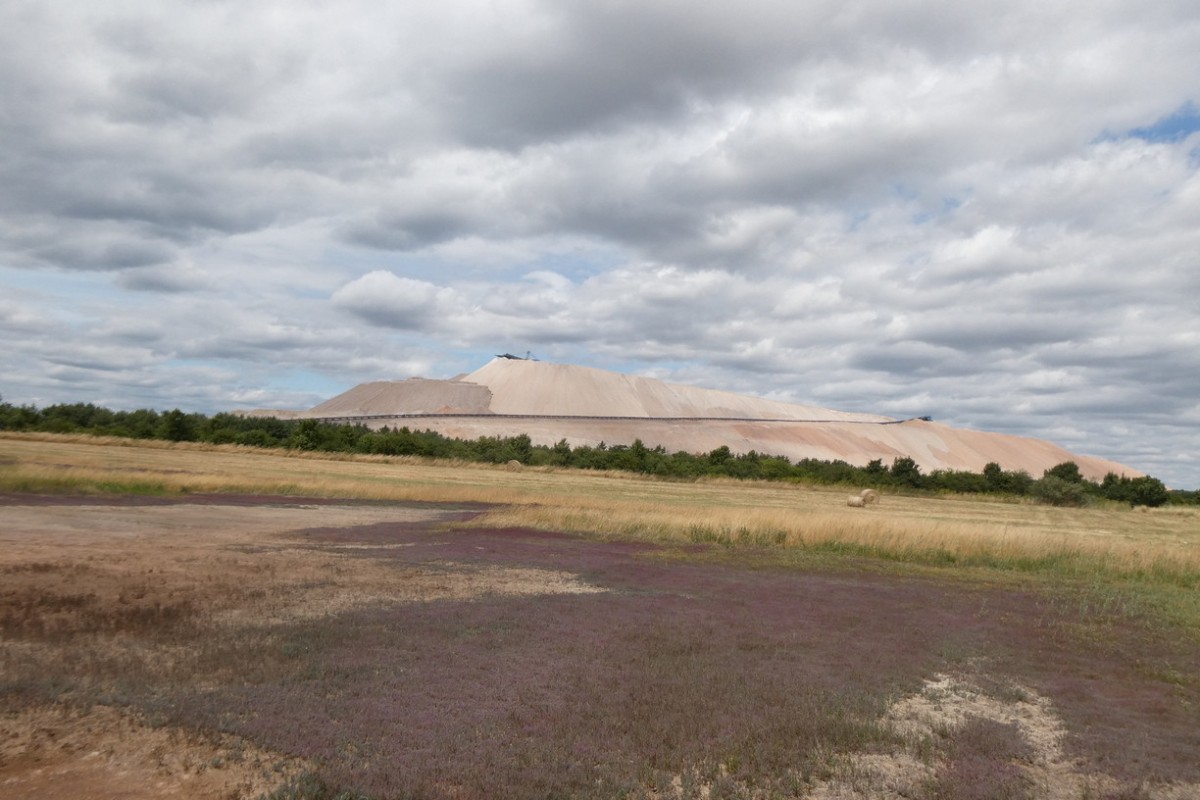 Zielitz.JPG (221.11 KiB) 4407 mal betrachtet Zielitz.JPG