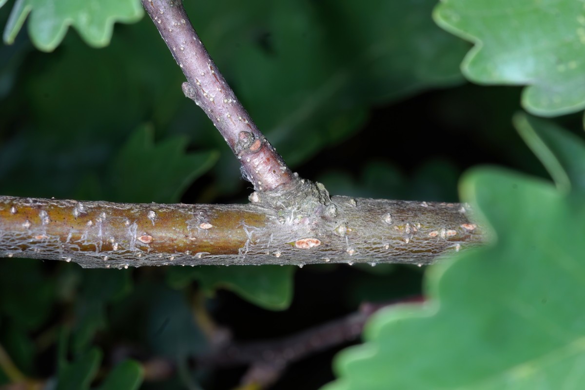 25A05690.JPG