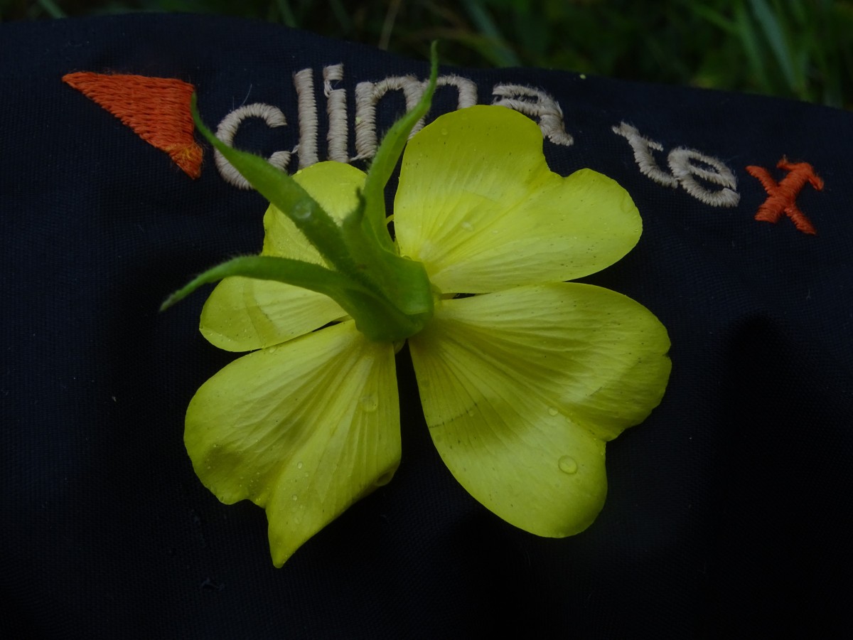 DSC00214.JPG