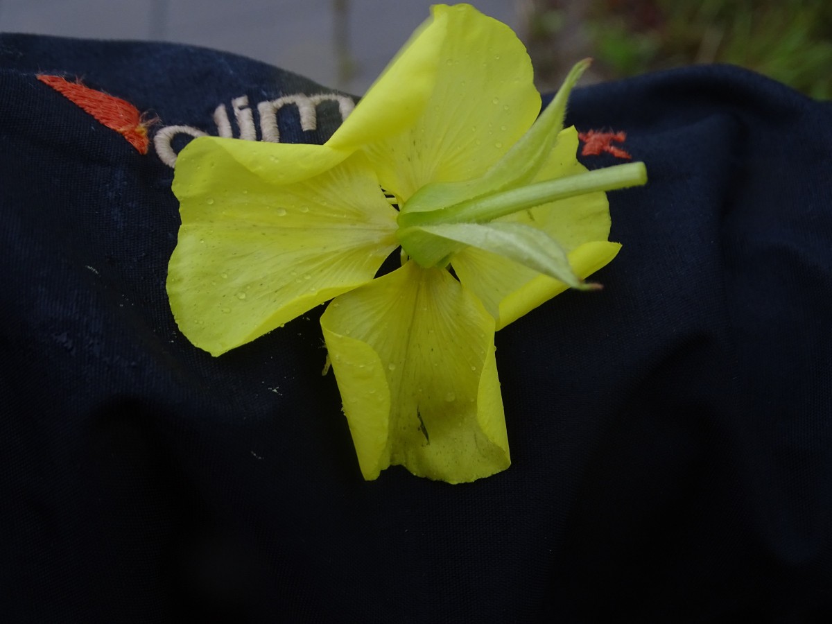 DSC00289.JPG