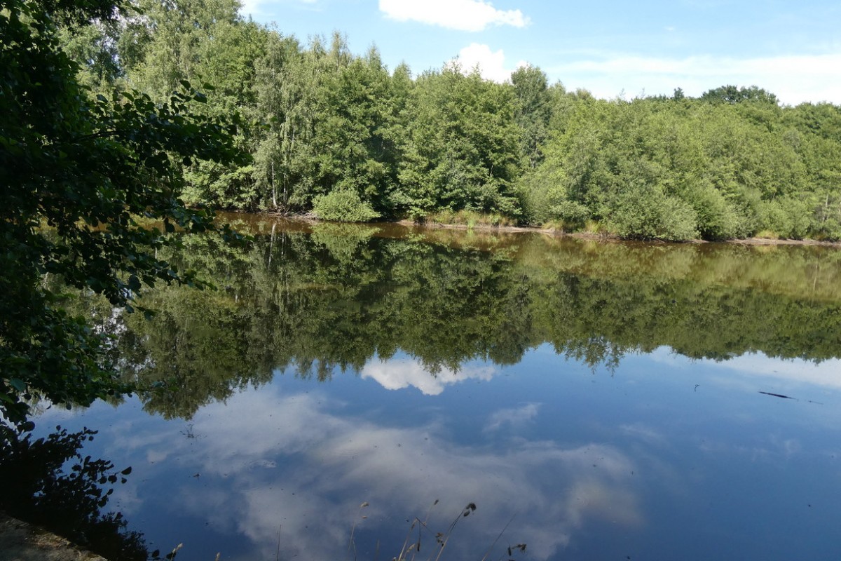 teich 1.JPG