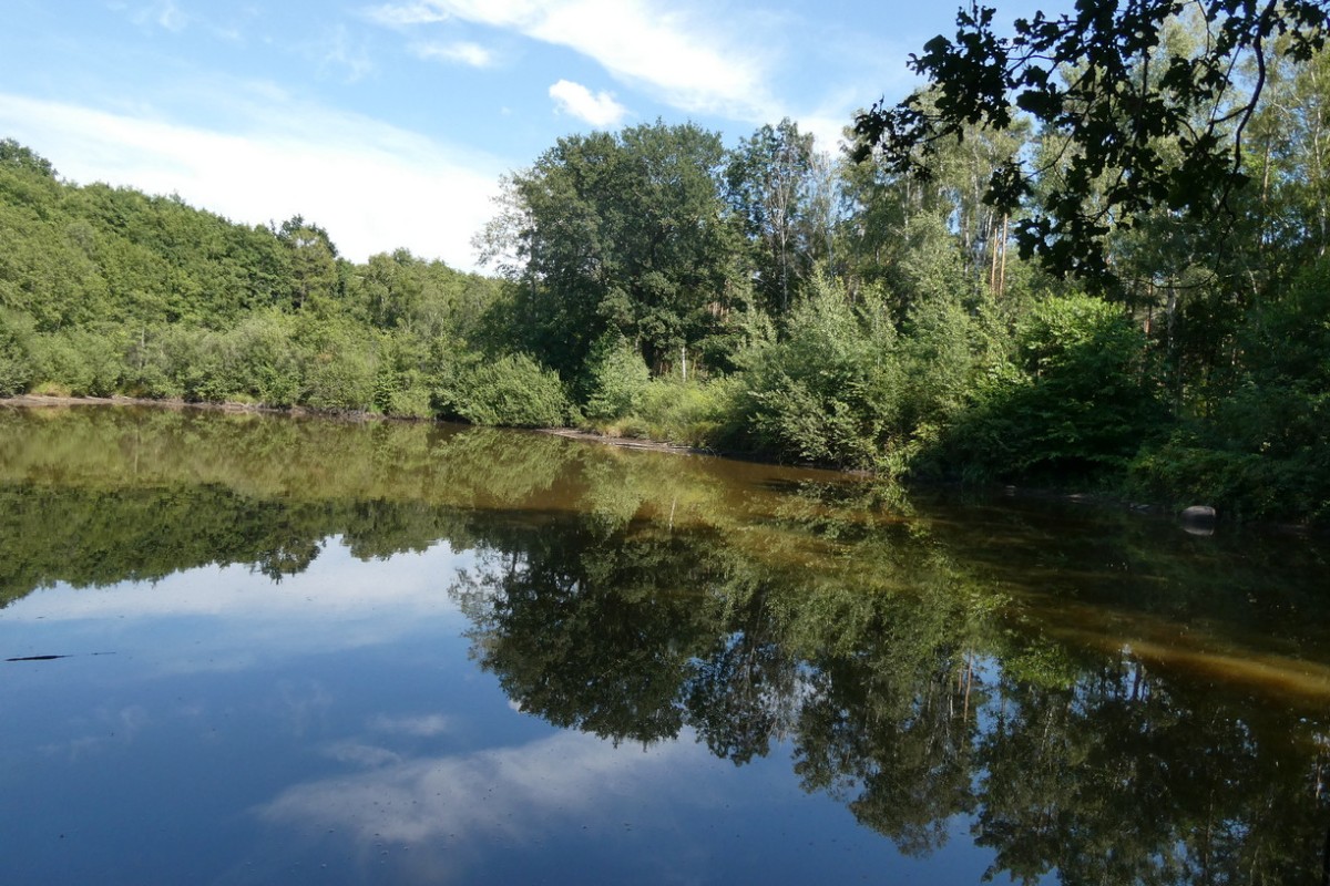teich 3.JPG