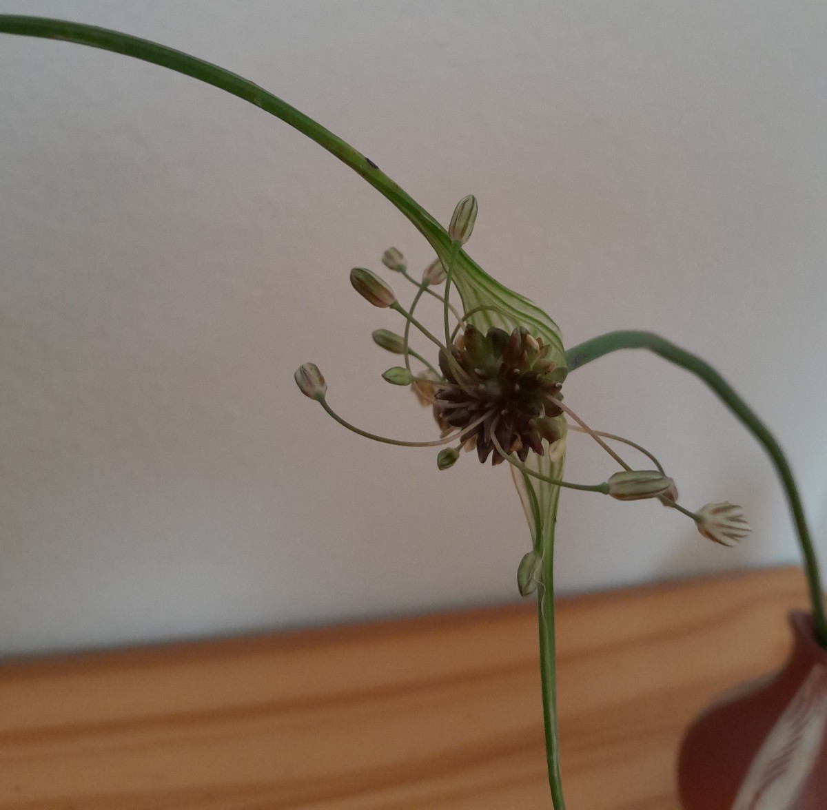 20250725_123359.jpg (628.91 KiB) 429 mal betrachtet 20250725_123359.jpg