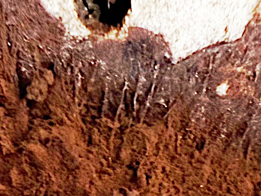 IMG_3675 - Ausschnitt aufgehellt.jpeg