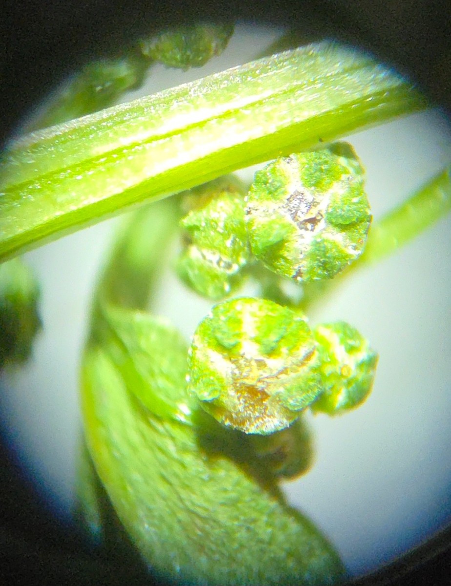 20250813_002431.jpg