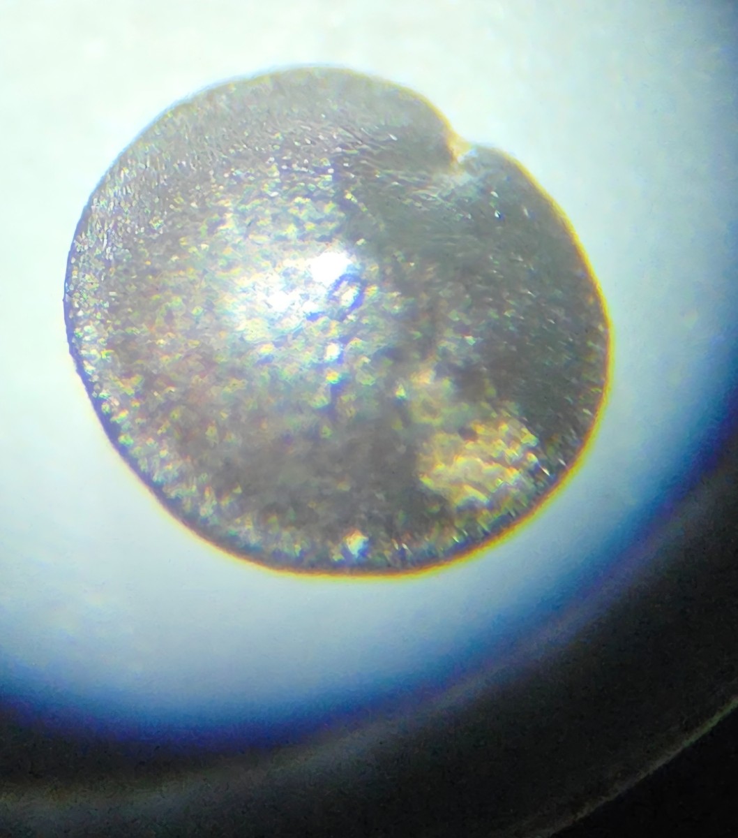20250813_233526.jpg