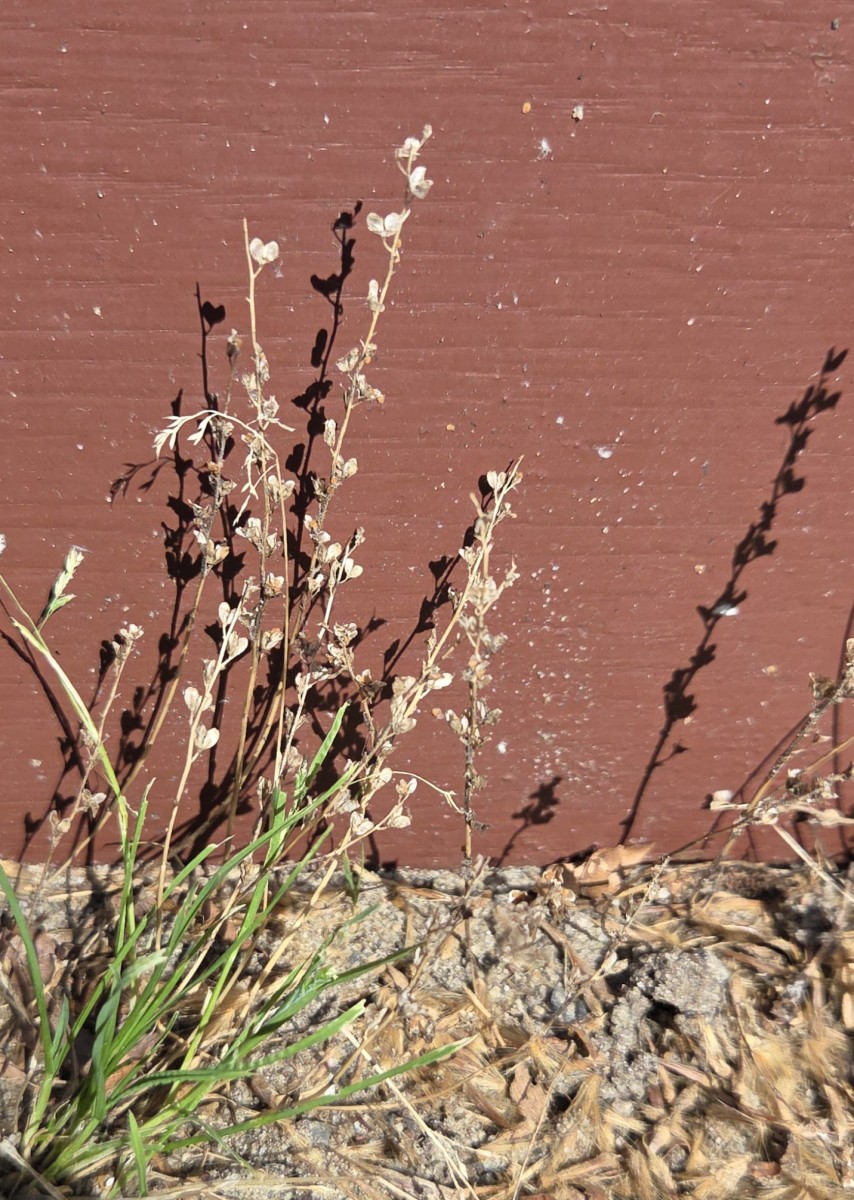 20250813_160640.jpg
