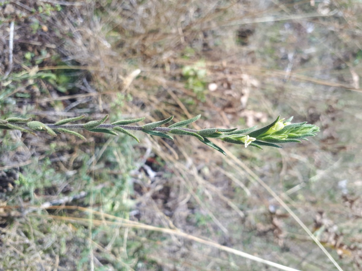 20250814_113120.jpg