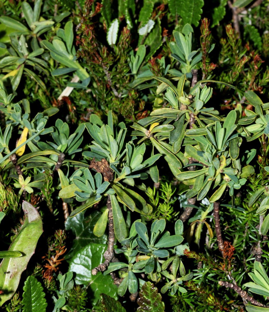 IMG_9344.JPG (1.1 MiB) 3989 mal betrachtet IMG_9344.JPG