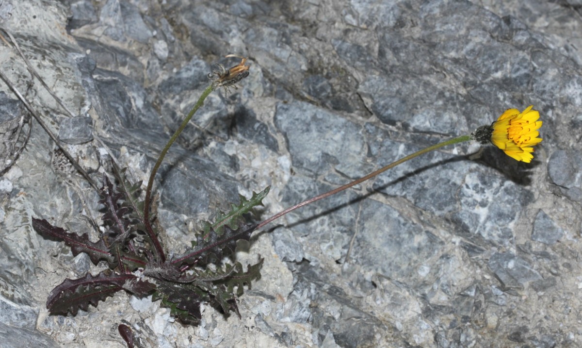 IMG_9346.JPG (651.74 KiB) 3989 mal betrachtet IMG_9346.JPG