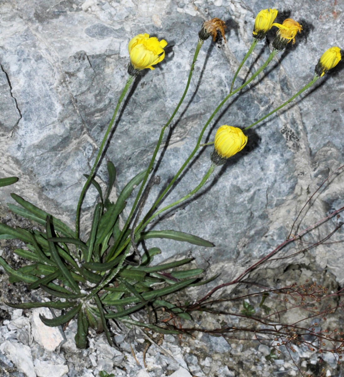 IMG_9349.JPG (1.09 MiB) 3989 mal betrachtet IMG_9349.JPG