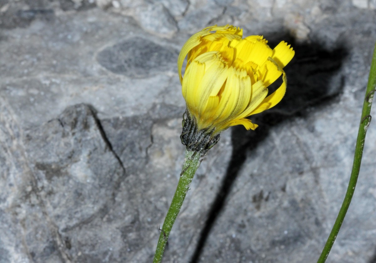 IMG_9350.JPG (510.23 KiB) 3989 mal betrachtet IMG_9350.JPG