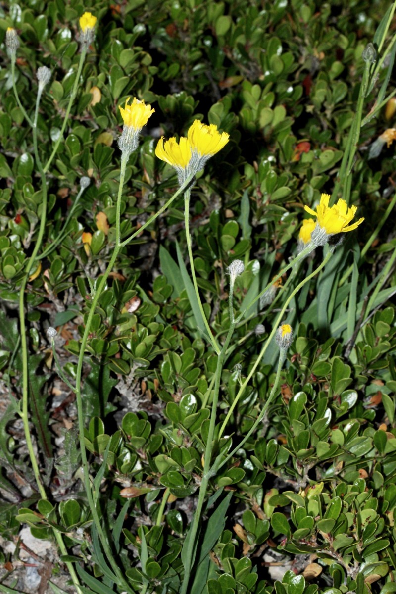 IMG_9352.JPG