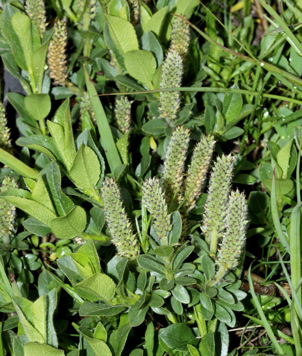 IMG_9360.JPG (1.02 MiB) 3552 mal betrachtet IMG_9360.JPG