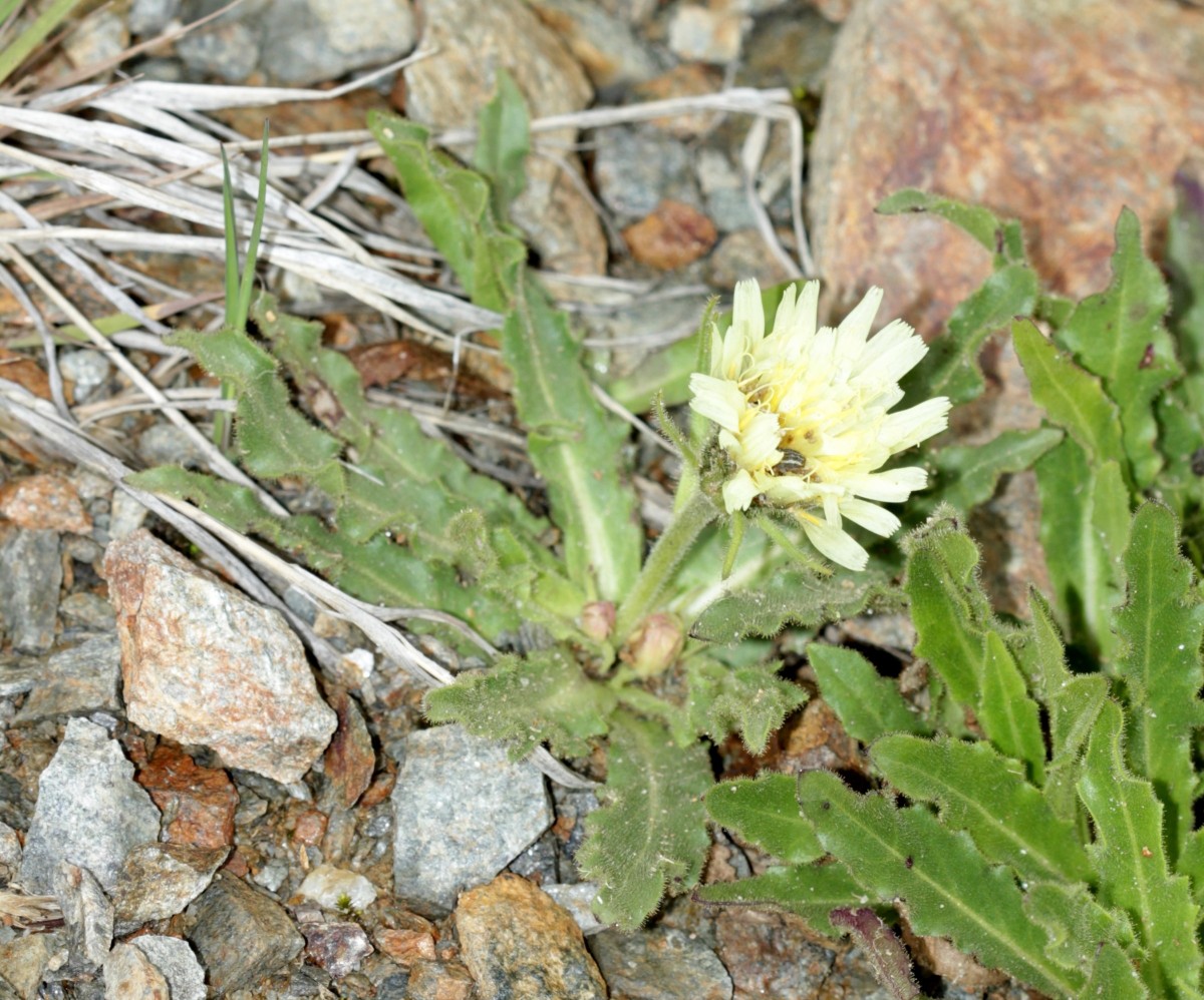 IMG_9380.JPG (895.66 KiB) 3552 mal betrachtet IMG_9380.JPG