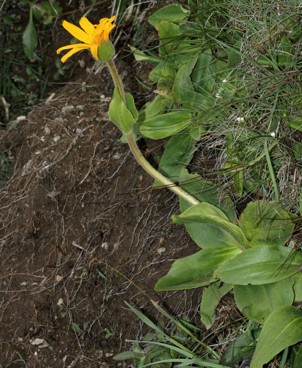 IMG_9383.JPG (1.13 MiB) 3552 mal betrachtet IMG_9383.JPG