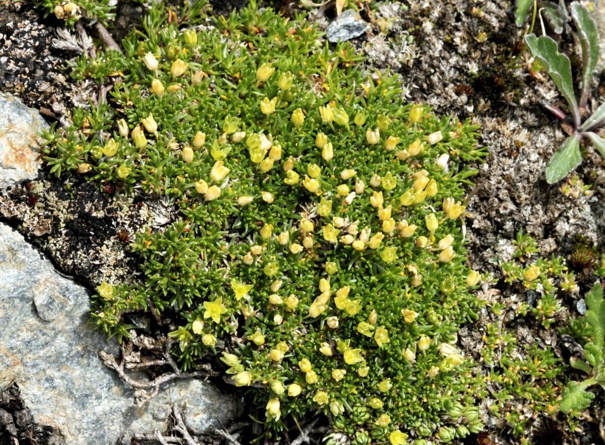 IMG_9391.JPG (1.29 MiB) 3723 mal betrachtet IMG_9391.JPG