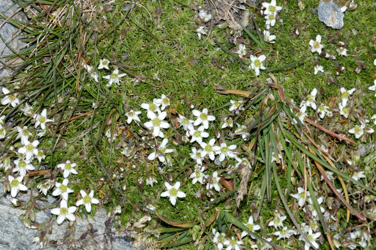 IMG_9395.JPG (1.14 MiB) 3723 mal betrachtet IMG_9395.JPG