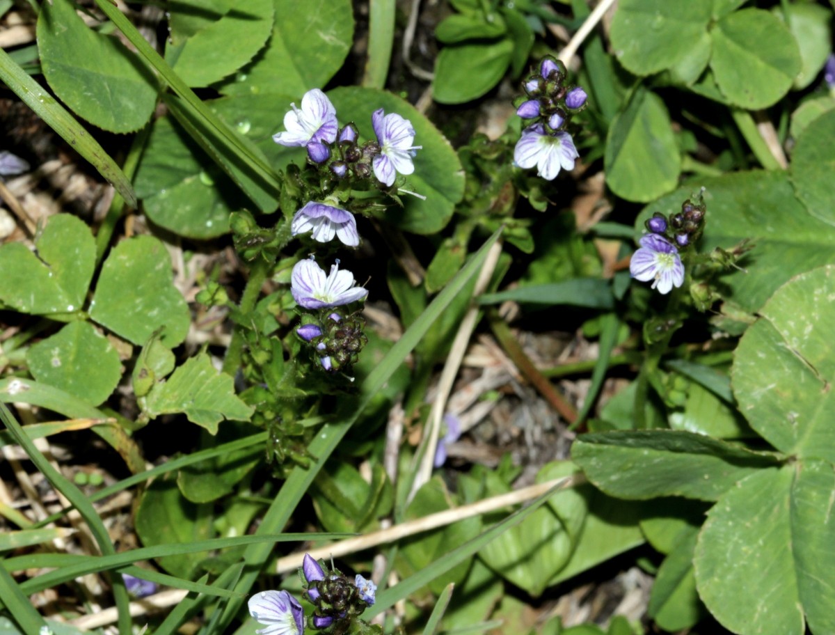 IMG_9492.JPG