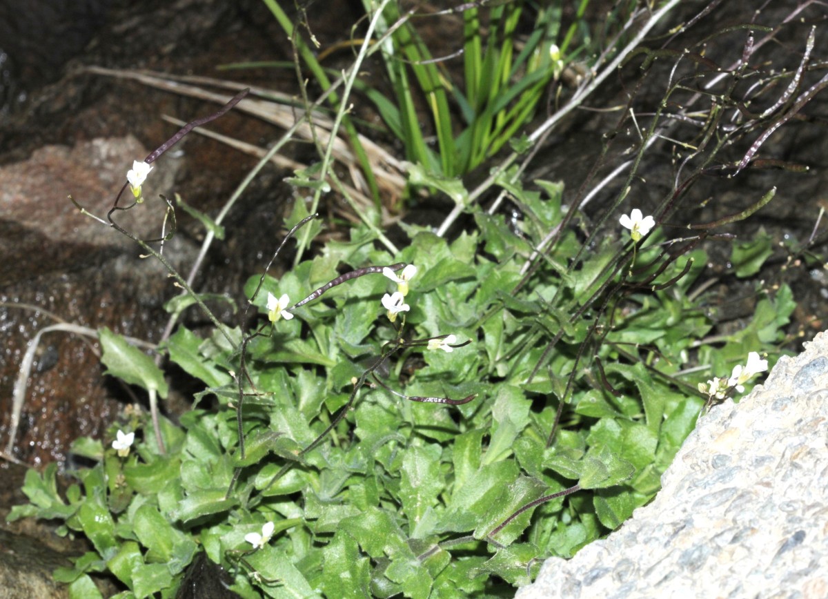 IMG_9497.JPG