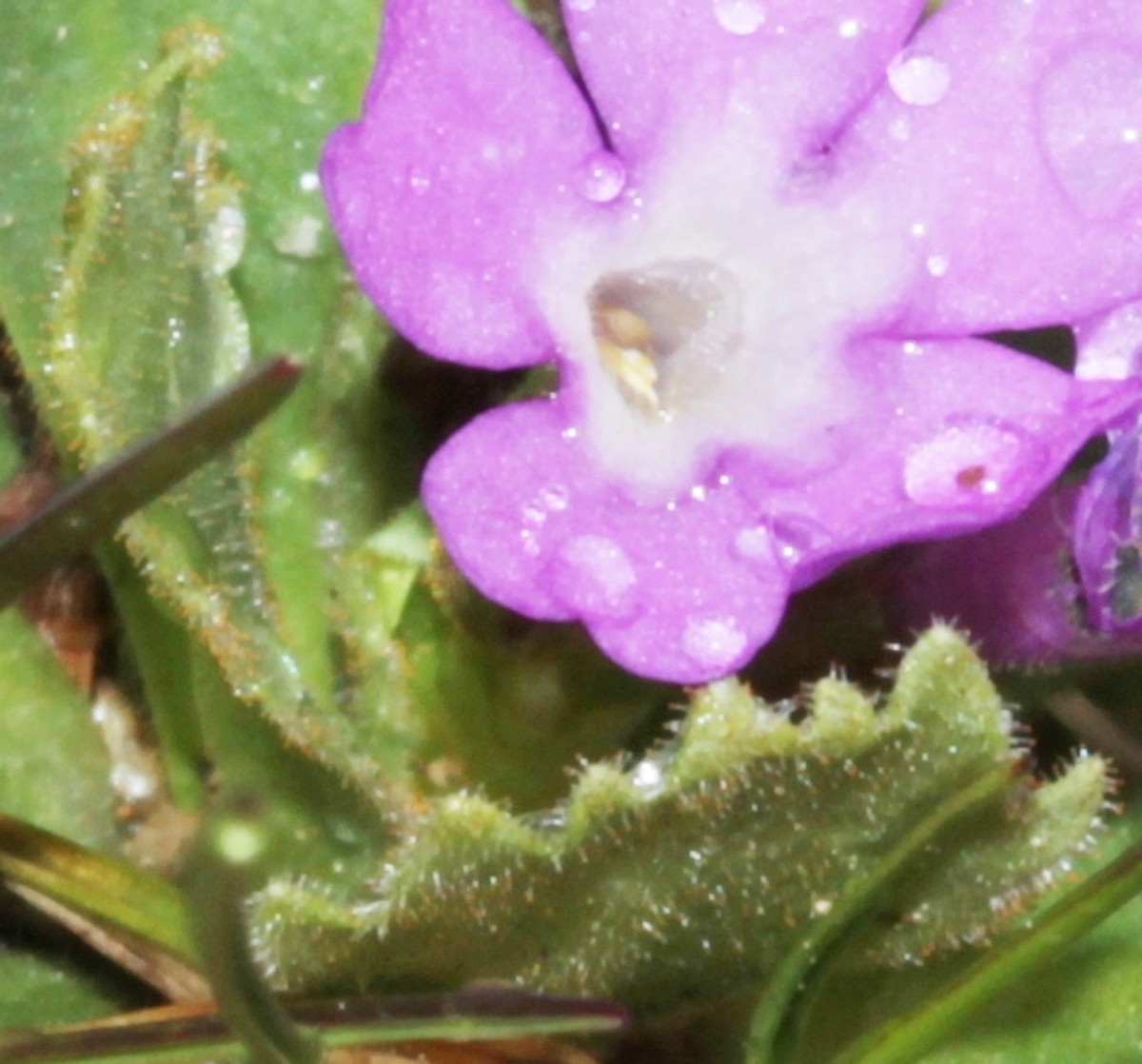 IMG_9424.JPG (279.11 KiB) 4060 mal betrachtet IMG_9424.JPG