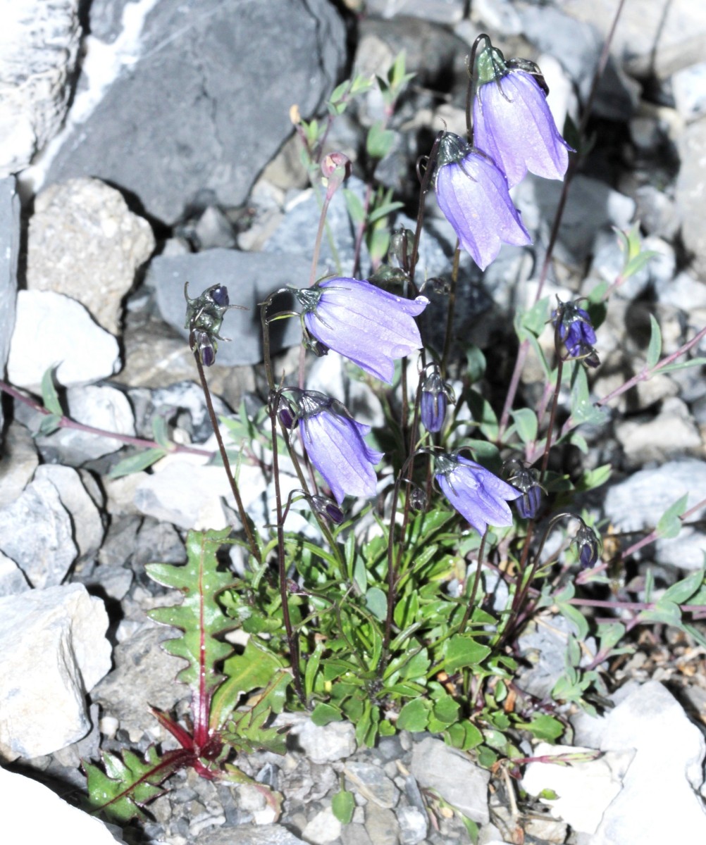 IMG_9513.JPG