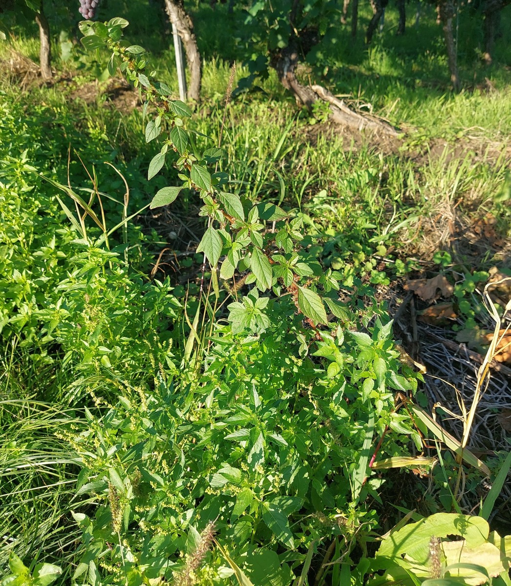 2025-09-05-17-39-11-773.jpg (1.94 MiB) 3772 mal betrachtet 2025-09-05-17-39-11-773.jpg