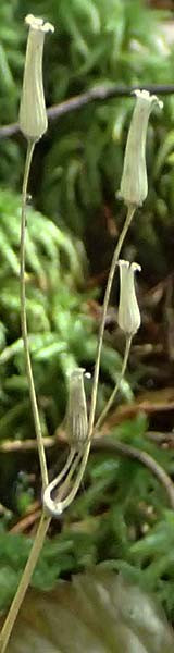 C651608a.jpg