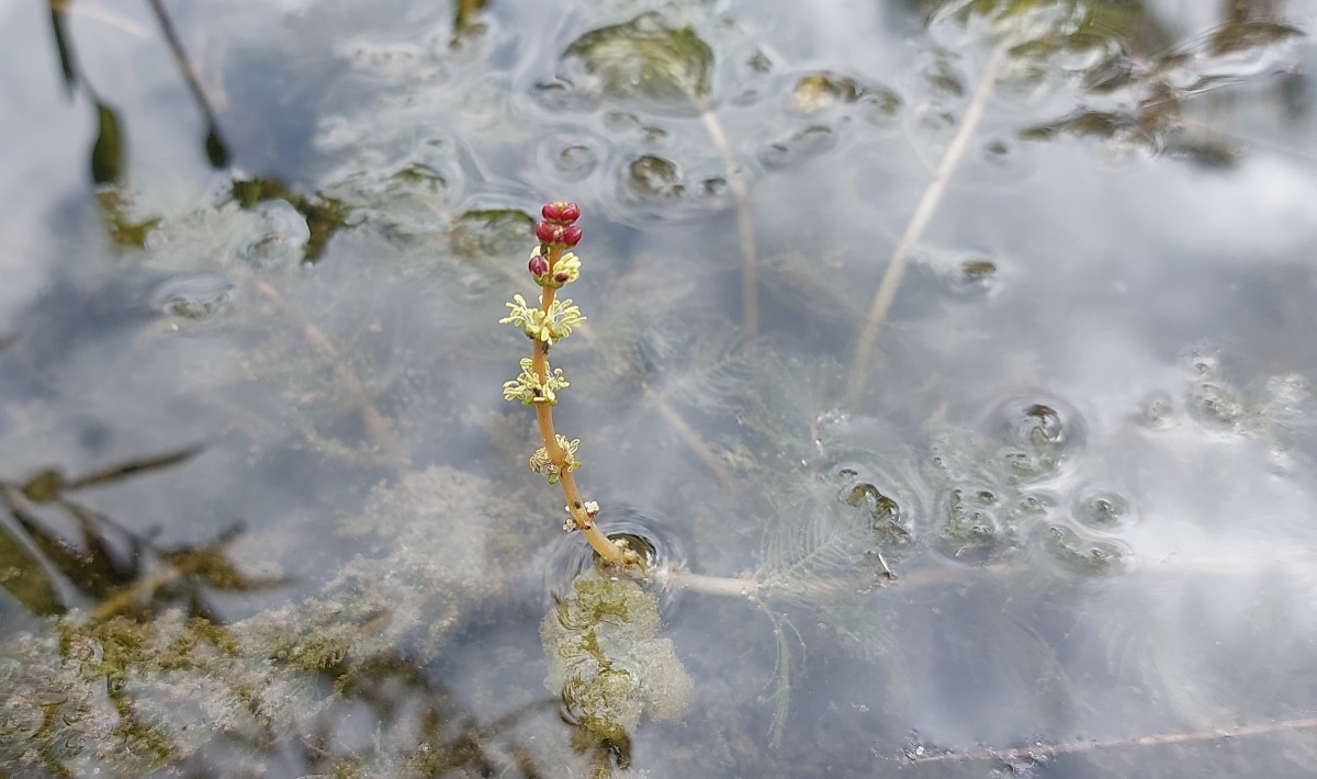 2025-09-13-13-14-41-611.jpg (546.4 KiB) 3873 mal betrachtet 2025-09-13-13-14-41-611.jpg