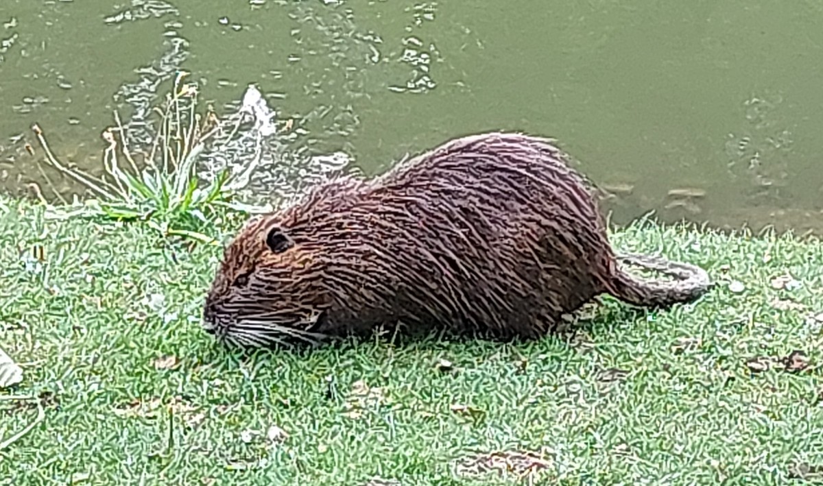 2025-09-16-13-18-25-697.jpg (731.73 KiB) 3719 mal betrachtet 2025-09-16-13-18-25-697.jpg