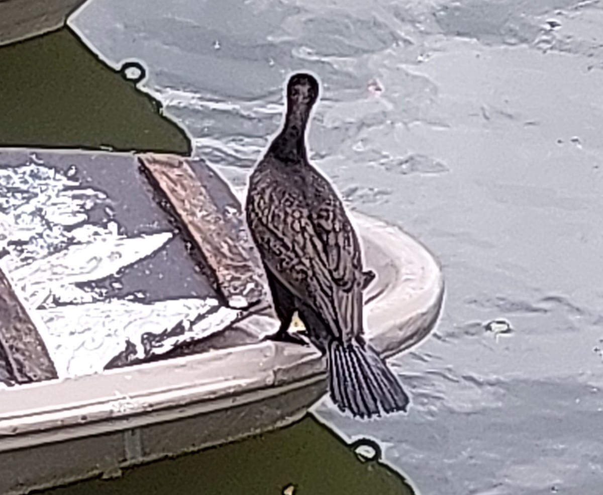 20250916_132224.jpg (508.94 KiB) 3353 mal betrachtet 20250916_132224.jpg