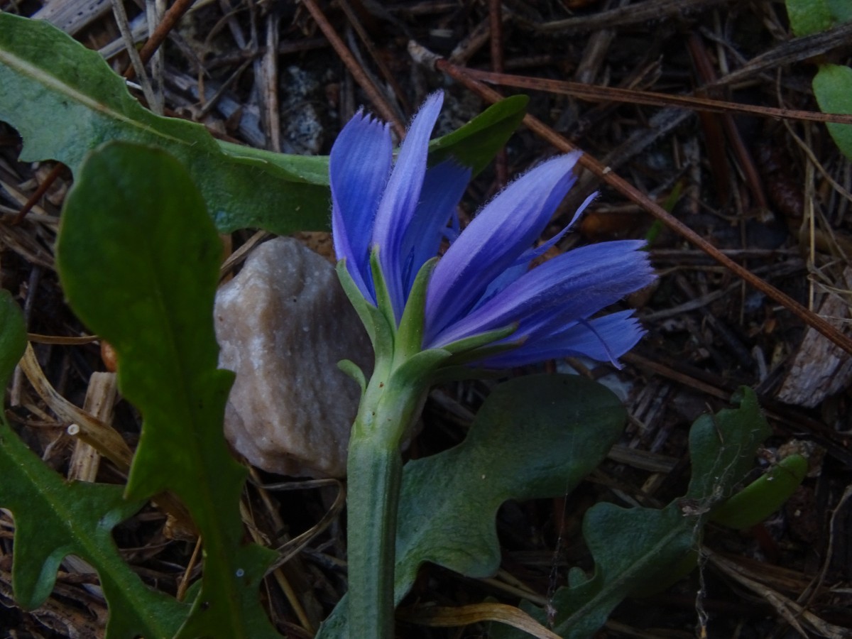 DSC00806.JPG