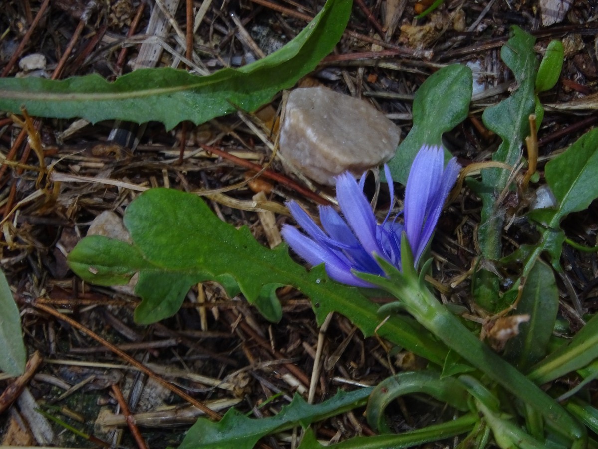 DSC00807.JPG