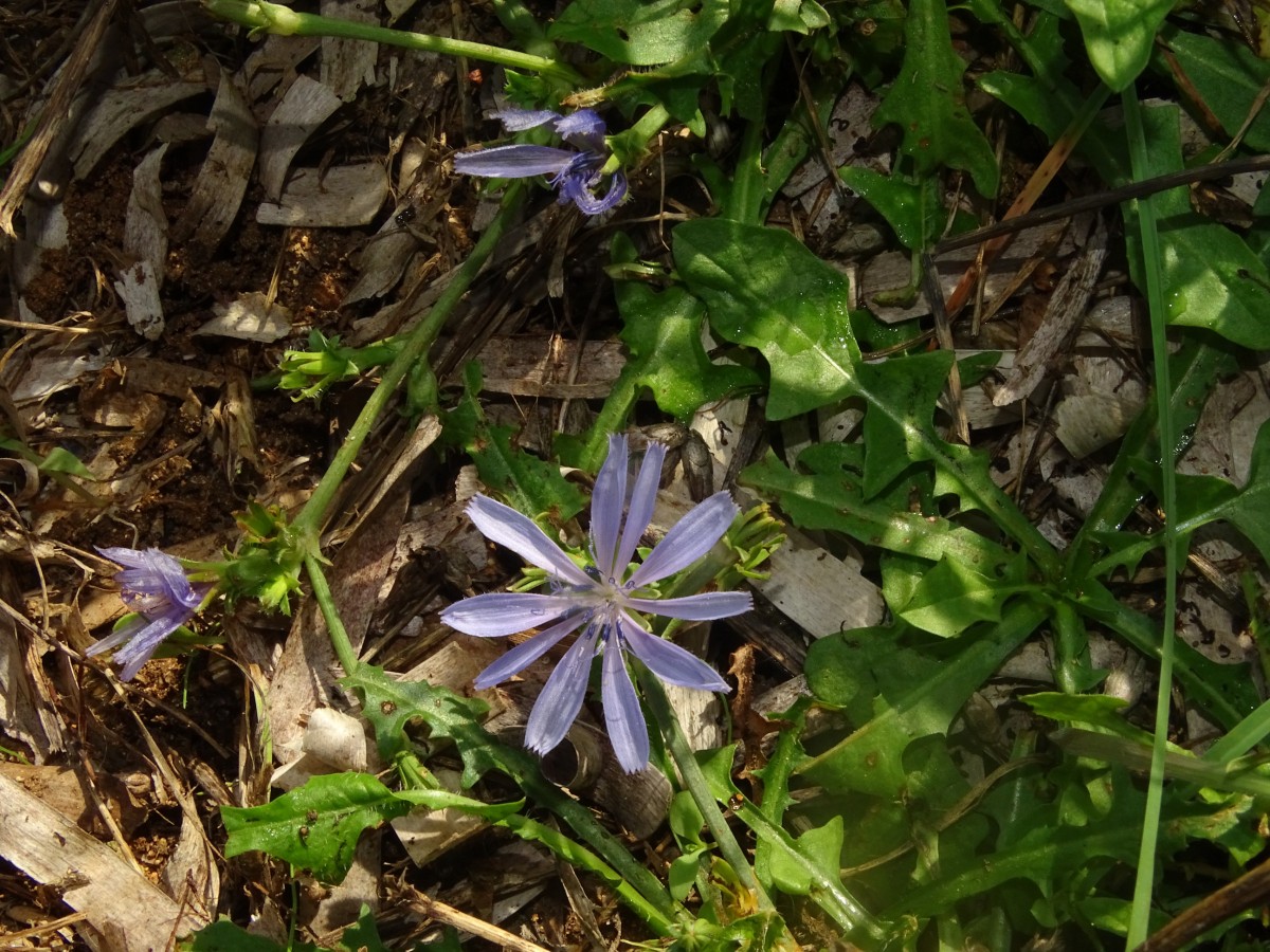 DSC00831.JPG