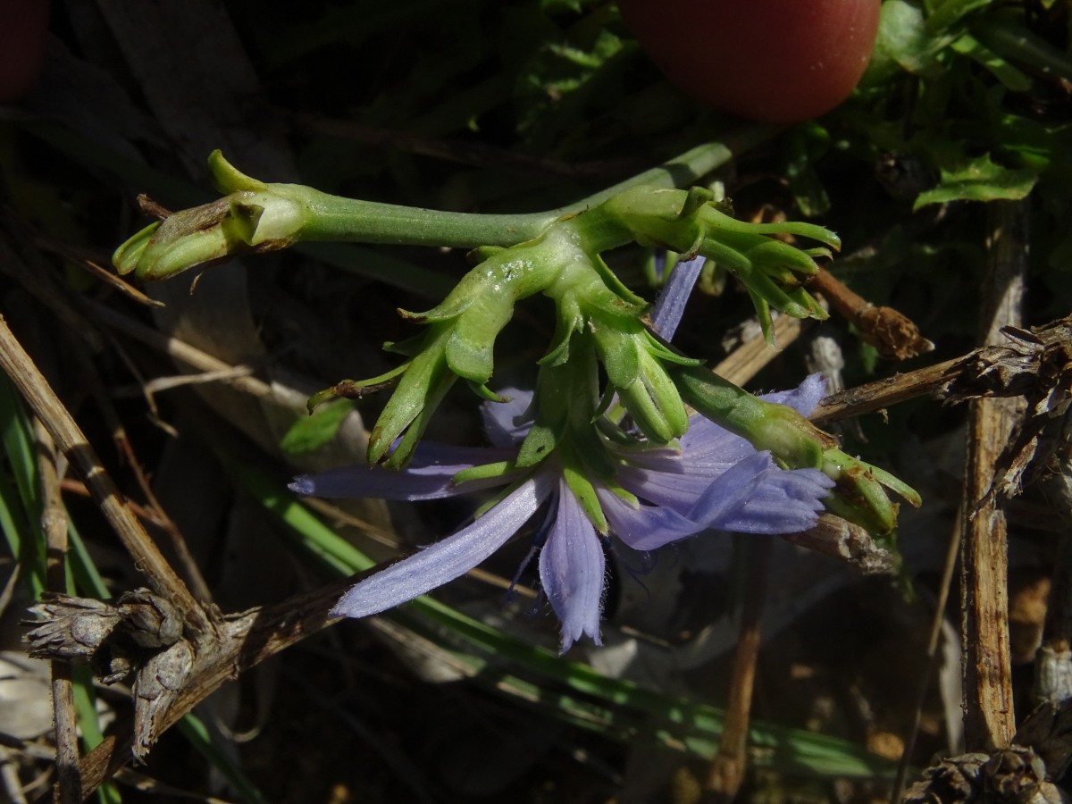 DSC00832.JPG