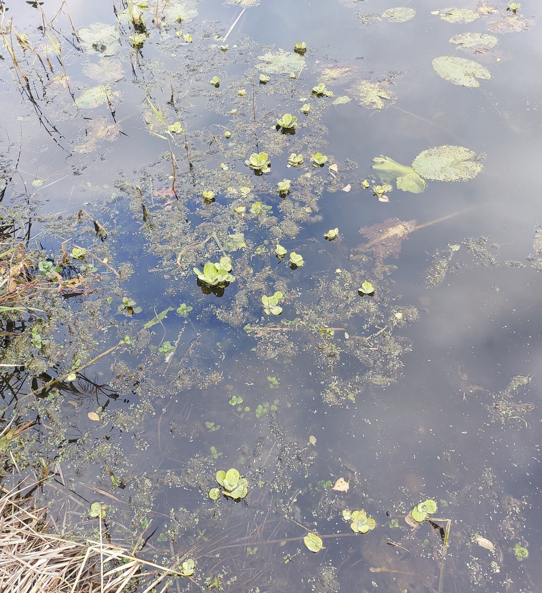 2025-10-07-16-30-25-074.jpg (1.81 MiB) 2717 mal betrachtet 2025-10-07-16-30-25-074.jpg