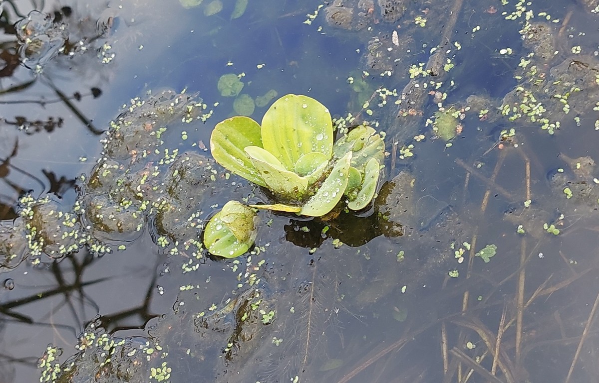 2025-10-07-16-30-34-849.jpg (889.55 KiB) 2717 mal betrachtet 2025-10-07-16-30-34-849.jpg