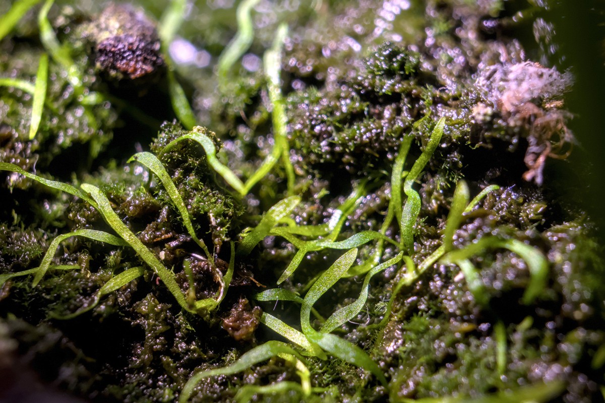 2025.10.10_01.jpg