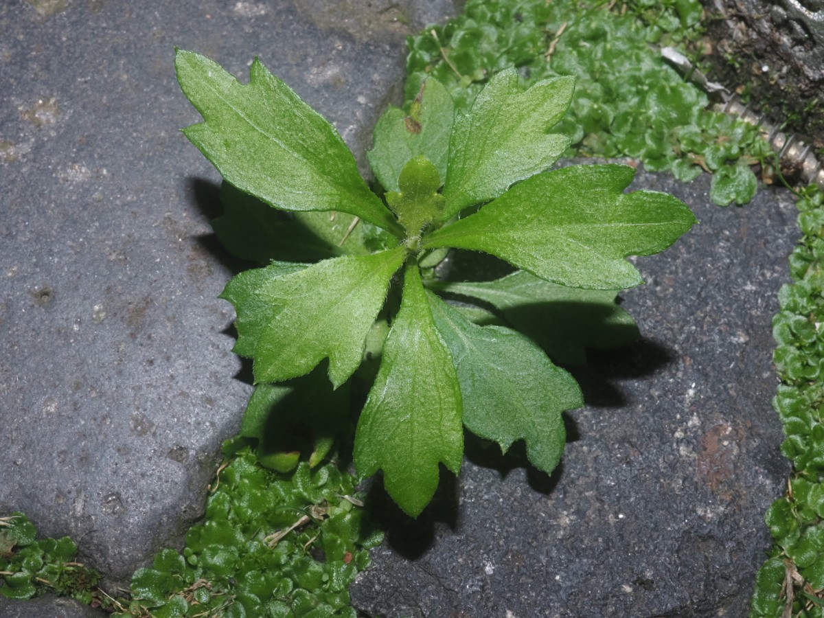 PA082531.JPG