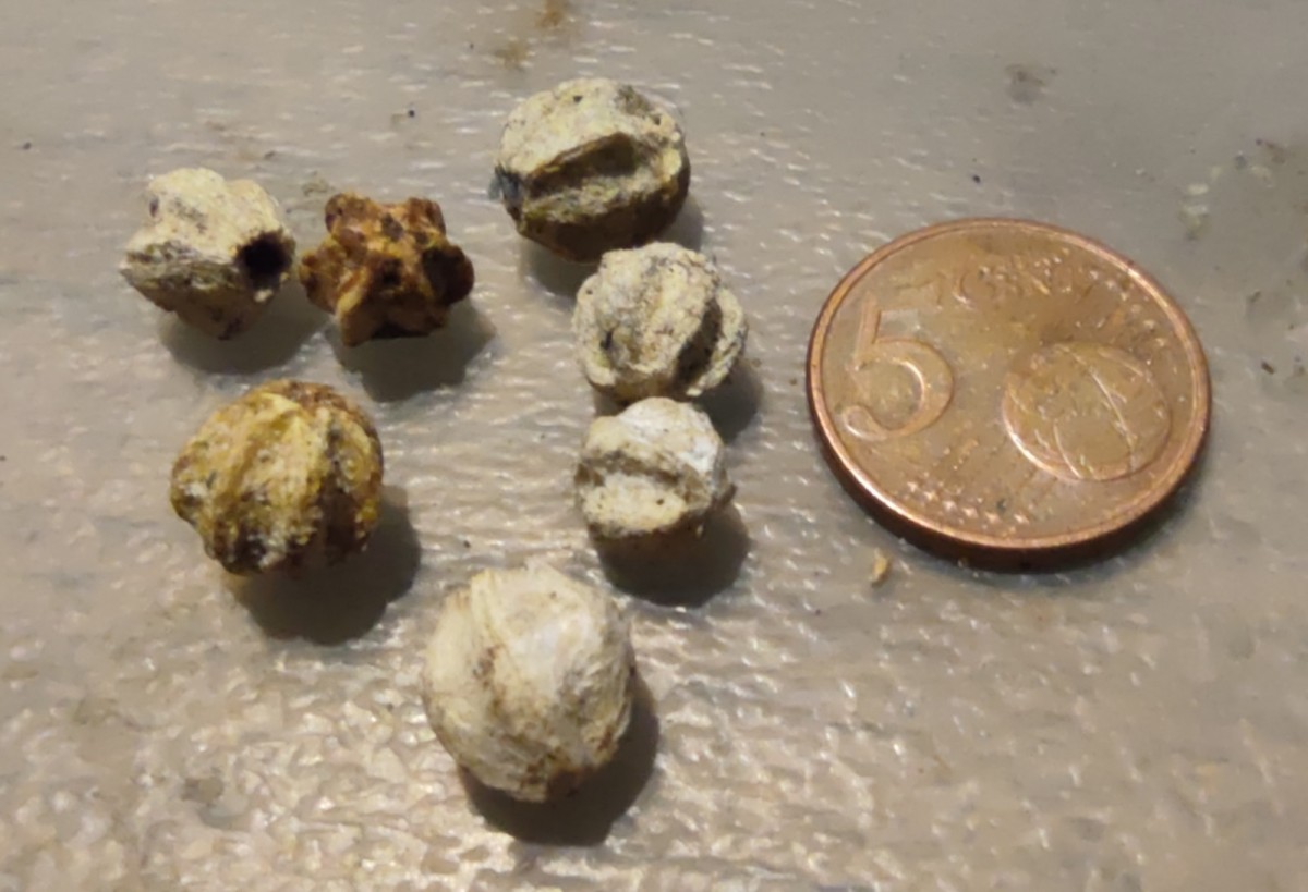 1761859203499.jpg (260.23 KiB) 1056 mal betrachtet 1761859203499.jpg