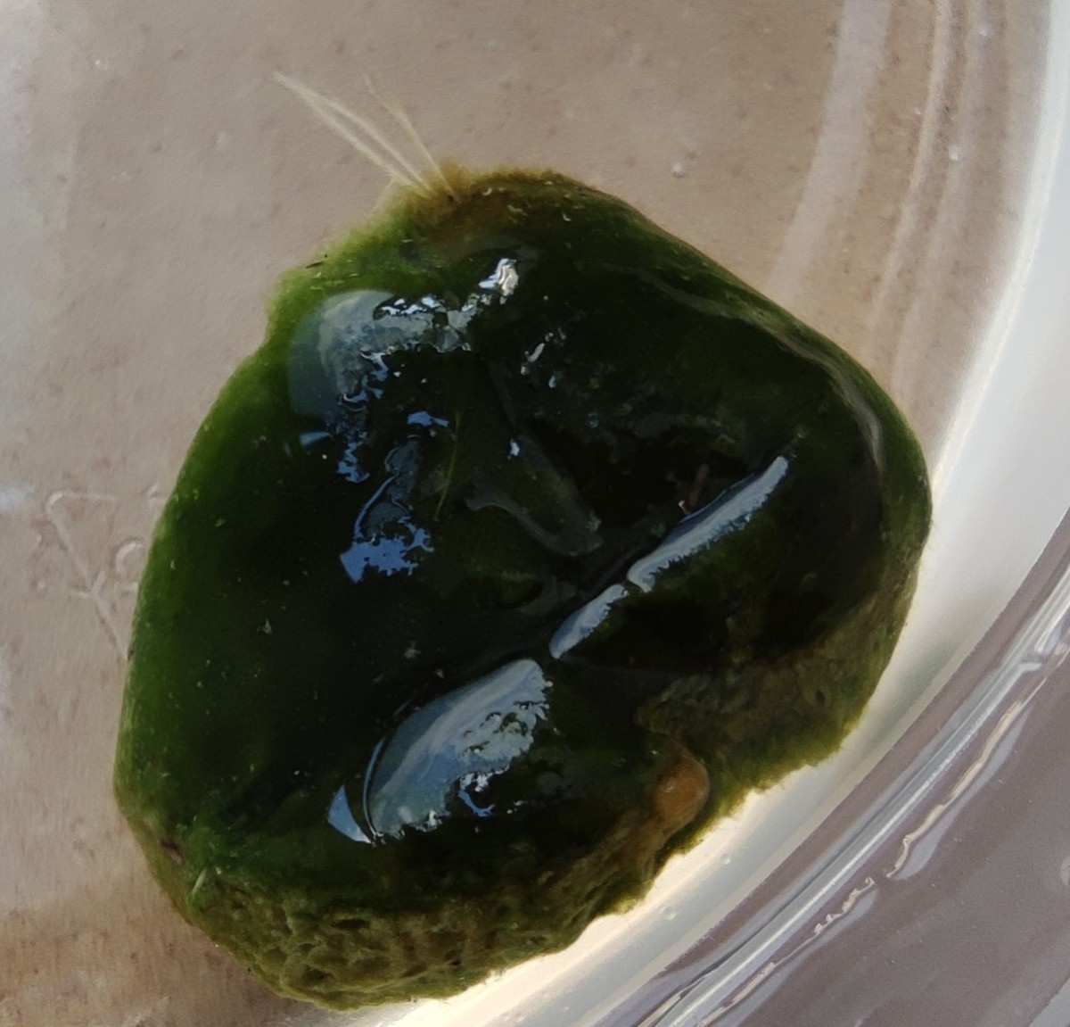 IMG_20251031_174435.jpg (258.13 KiB) 5354 mal betrachtet IMG_20251031_174435.jpg