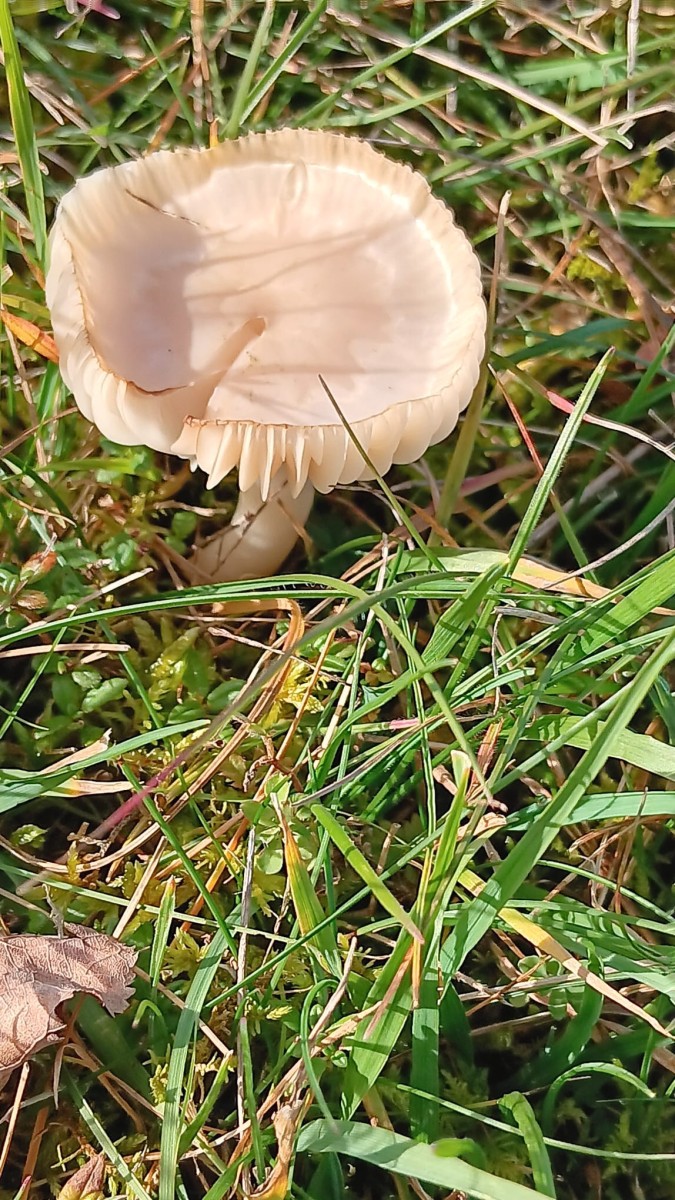 WhatsApp Bild 2025-11-05 um 05.04.16_74364011.jpg