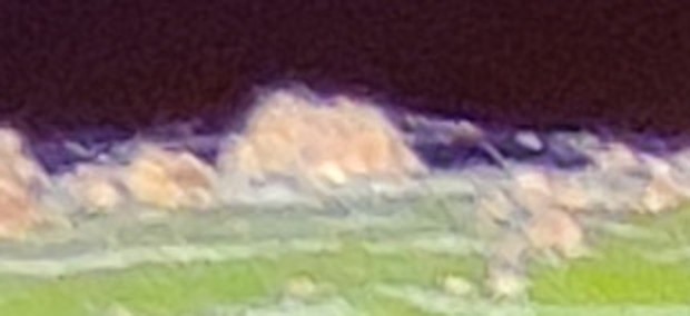 detail.jpg