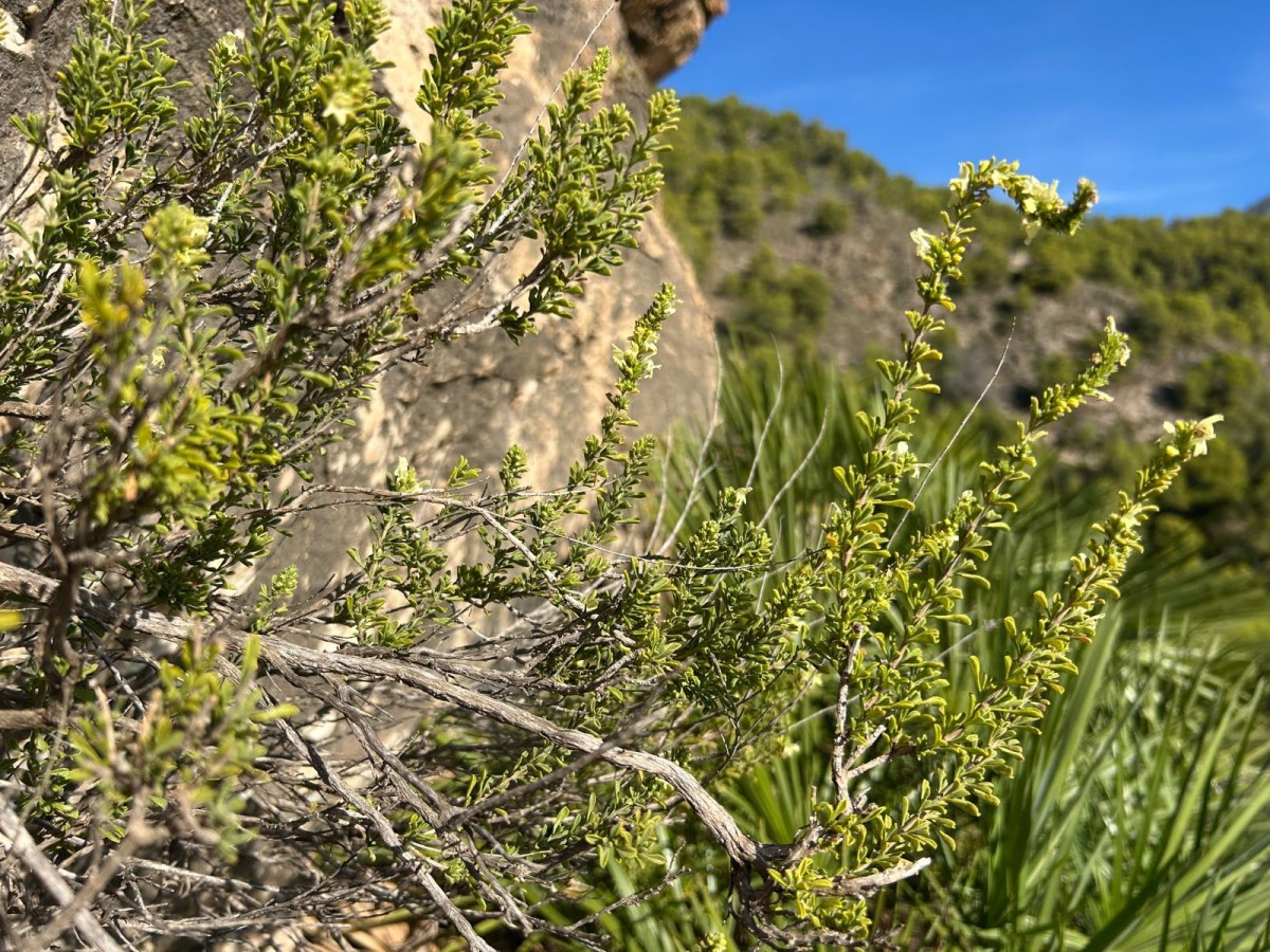 WhatsApp-kép, 2025-11-17, 00.48.57_07996c64.jpg