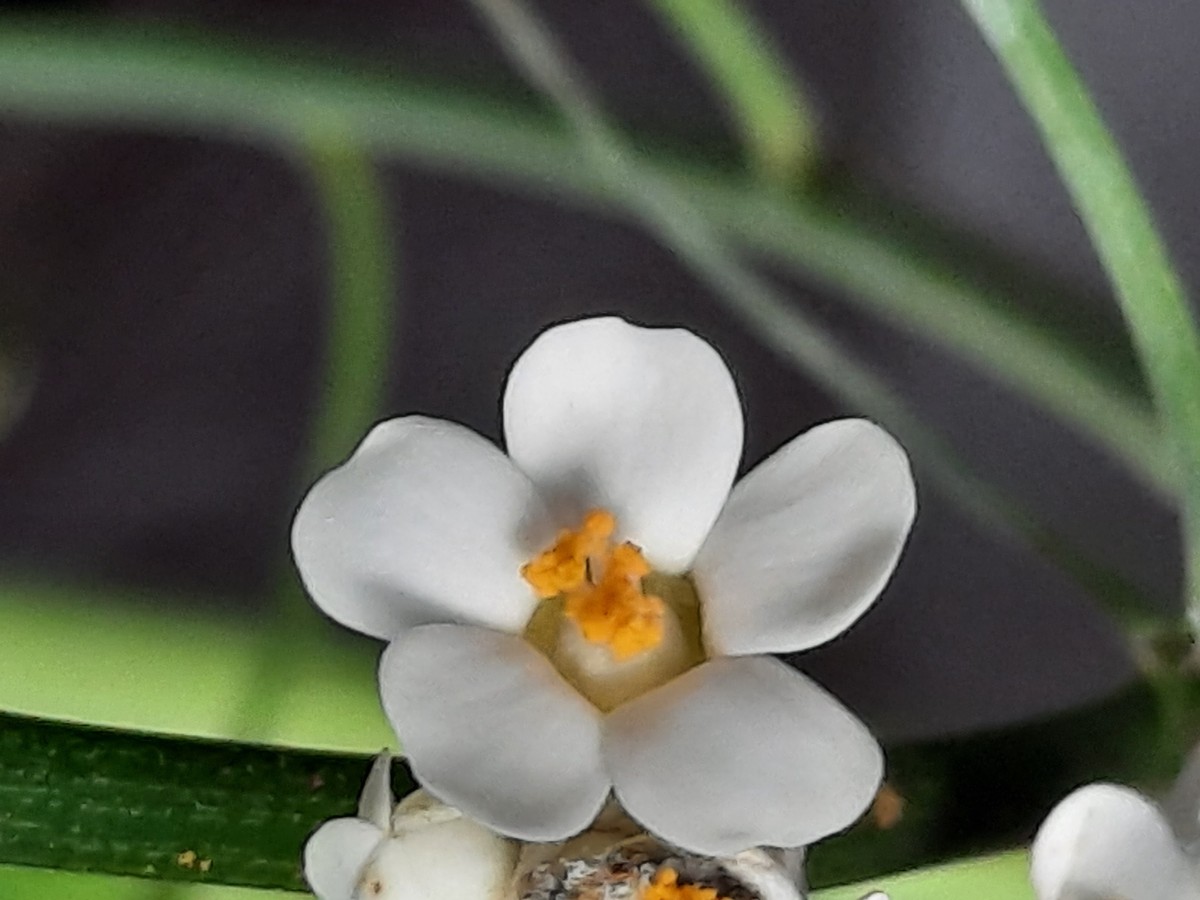 20211123_131053.jpg     +.jpg