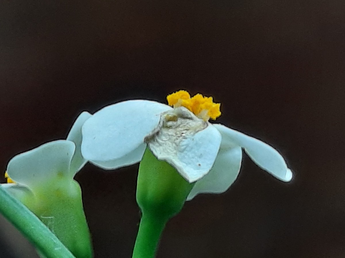 20211123_131831.jpg             +.jpg